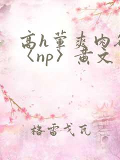 高h荤爽肉欲文〈np〉黄文