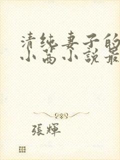 清纯妻子的改变小茜小说最新章节