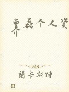 曹磊个人资料简介