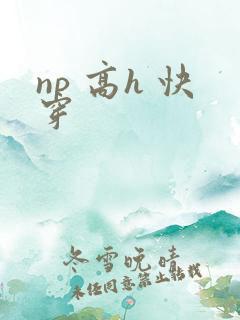 np 高h 快穿