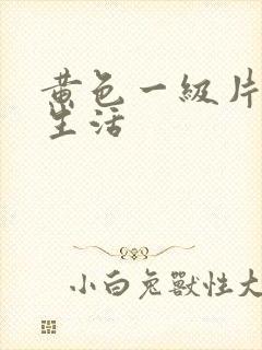 黄色一级片夫妻生活