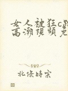 女人被狂c躁到高潮视频免费观看