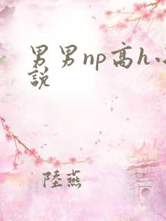 男男np高h小说