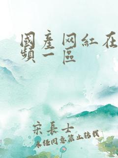 国产网红在线视频一区