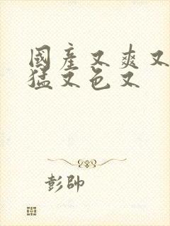 国产又爽又粗又猛又色又