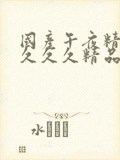 国产午夜精品久久久久精品电影