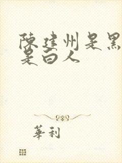 陈建州是黑人还是白人