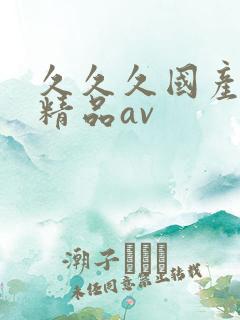 久久久国产亚洲精品av