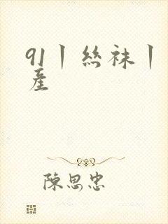 91丨丝袜丨国产