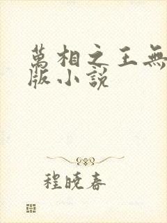 万相之王无删减版小说