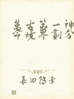 万古第一神李天命境界划分