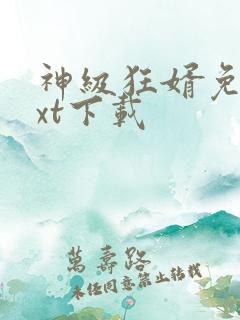 神级狂婿免费txt下载