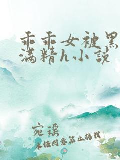 乖乖女被黑人灌满精h小说