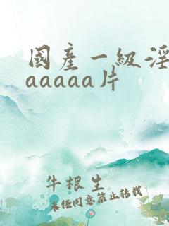 国产一级淫片aaaaaa片