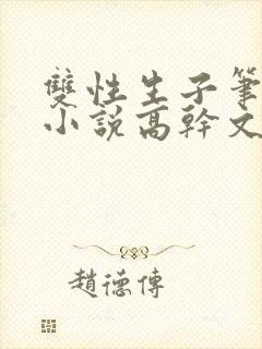 双性生子笔趣阁小说高干文