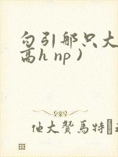 勾引那只大鸟(高h np )