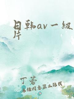 日韩av一级大片