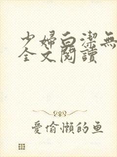 少妇白洁无删减全文阅读