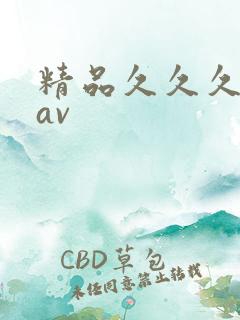 精品久久久蜜臀av