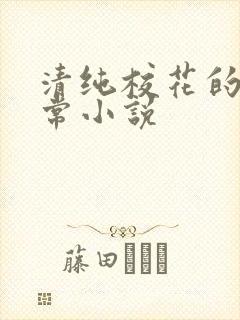 清纯校花的被日常小说