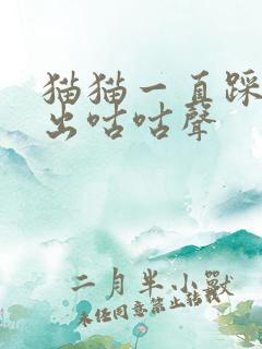 猫猫一直踩奶发出咕咕声