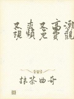 又爽又高潮在线视频免费观看