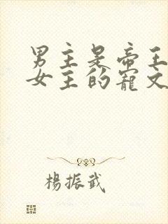 男主是帝王暗恋女主的宠文