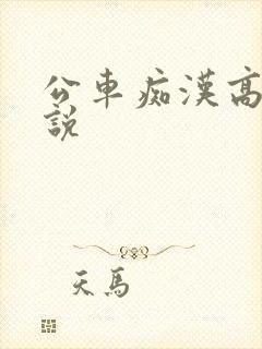 公车痴汉高h小说