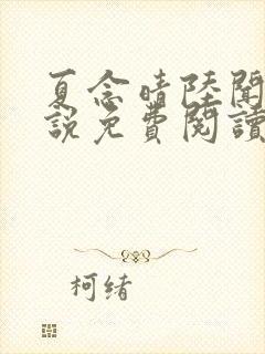 夏念晴陆闻琛小说免费阅读最新章节