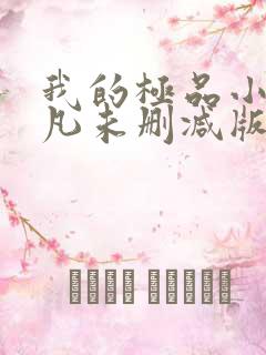 我的极品小姨叶凡未删减版