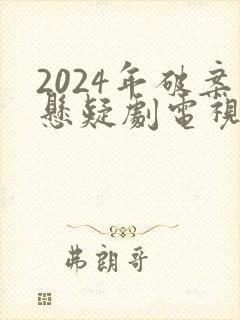 2024年破案悬疑剧电视剧