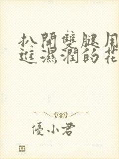 扒开双腿用力挺进湿润的花苞