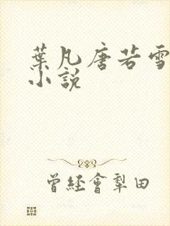 叶凡唐若雪医婿小说