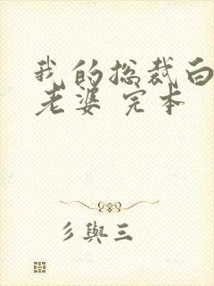 我的总裁白富美老婆 完本