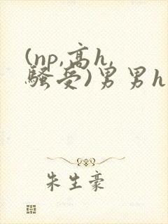 (np,高h,骚受)男男h