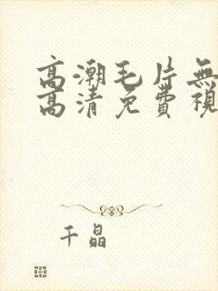 高潮毛片无遮挡高清免费视频网站