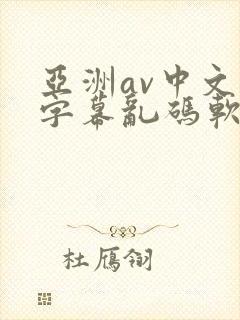 亚洲av中文字字幕乱码软件