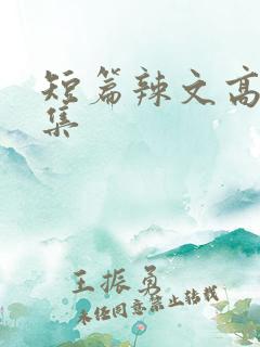 短篇辣文高h合集