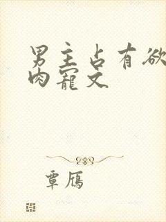 男主占有欲强的肉宠文