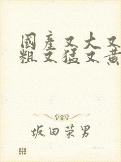 国产又大又长又粗又猛又黄的视频