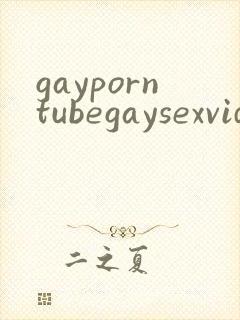 gayporntubegaysexvideos