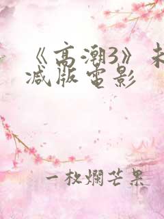 《高潮3》未删减版电影