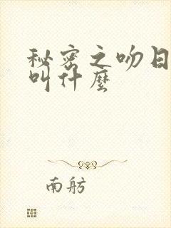秘密之吻日剧又叫什么