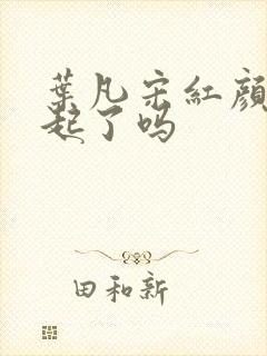 叶凡宋红颜在一起了吗