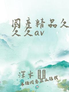 国产精品久久久久久av
