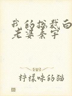 我的总裁白富美老婆秦宇