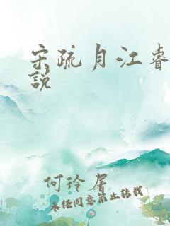 宋疏月江睿曜小说