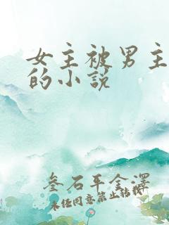 女主被男主囚禁的小说