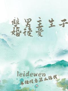 双男主生子文先婚后爱