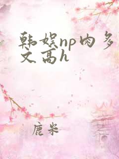 韩娱np肉多荤文高h